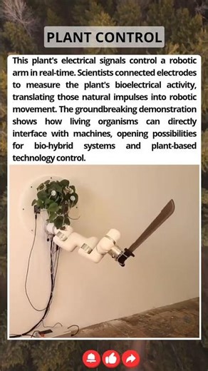 This Plant Controls A Robot. With Its ELECTRICAL Signals.