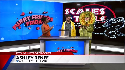 Furry Friends Friday - Meet Two Scaly Friends Who Are Up for Adoption