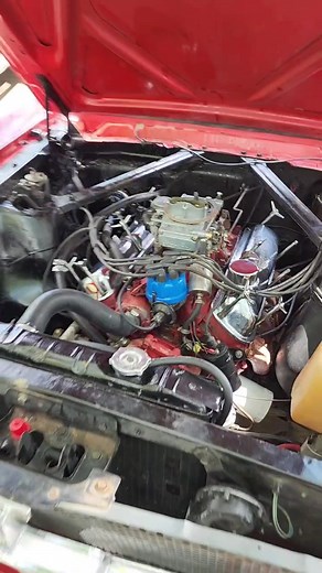 1965 Ford Mustang 289 First Start After 10 Years