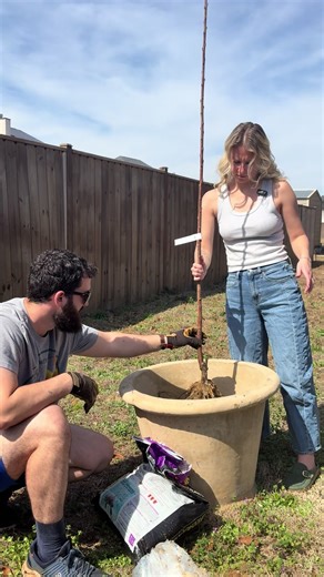 Last fruit tree!! These make me so happy 🍒