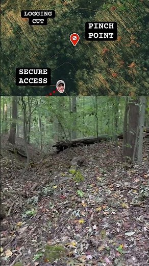 The Perfect Evening October Scrape Hunt #whitetails #hunting #deerhunting