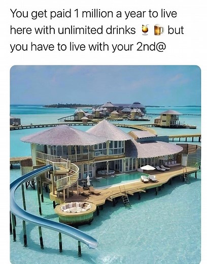 172K views · 130 reactions | Sarcasm Meets Humor on Reels | Facebook