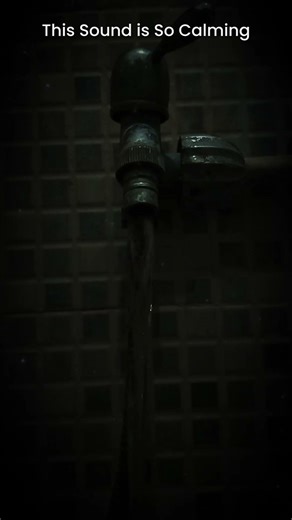 This Faucet Sound is So Calming 💧 #shorts