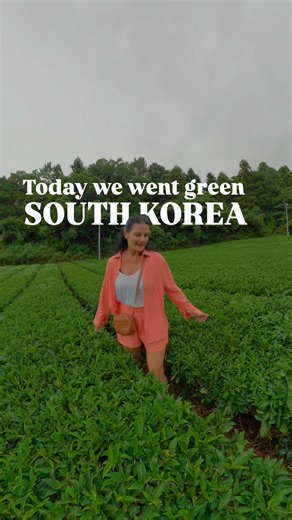 Jeju’s Biggest Surprise for us Yet… 🍃
