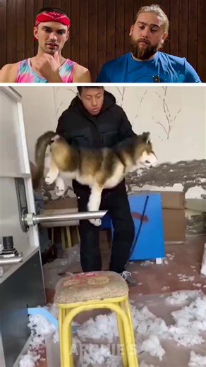 The Dudes REACT to VIRAL Videos 😱 | Archie5 Reacts