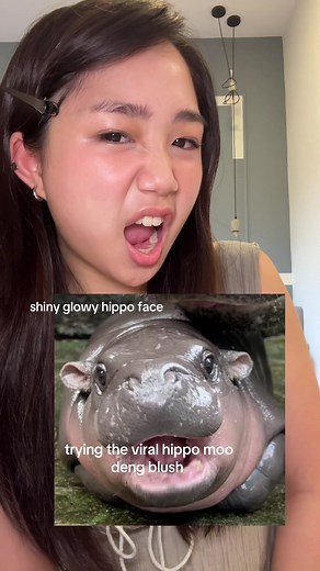 you like hippos?? i like hippos too!!! 🦛💓🎀 #fyp #viral #moodeng #hippo #moodenghippo #moodengblush #makeup