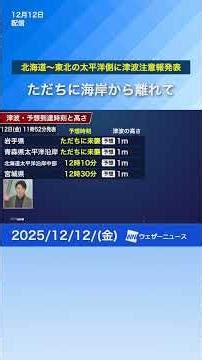 Earthquake and Tsunami: M6.7 earthquake off the east coast of Aomori Prefecture. Tsunami warnings...