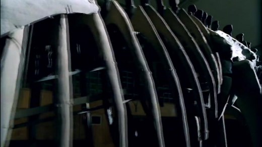 Allosaurus: A Walking with Dinosaurs Special [The Ballad of Big Al originally titled in the UK] (2000 TV special)