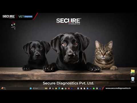 Equine Arteritis Virus (EAV Ab) Test Procedure | Step-by-Step Analyzer Setup & Report Printing