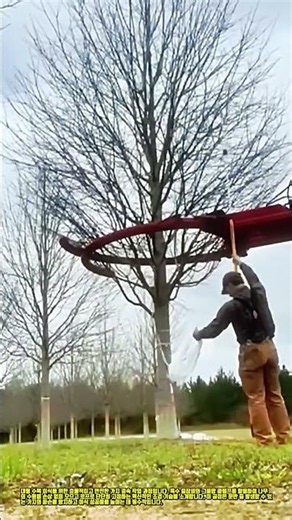 신기한 수목 결속 장비 #worker #process #tree #transplanting #landscaping