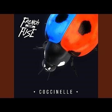 Coccinelle