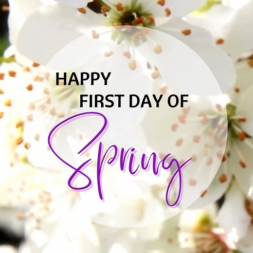 🌸🌼🌷 Happy 1st Day of Spring! 🌷🌼🌸 Time to bloom, grow, and let your inner sunshine shine! 🌞🌱 Wishing you a season filled with laughter, love, and all the joys of springtime! 🐦💐 #SpringHasSprung #HelloSpring #MAPR #MountAiryParksandRecreation #rccstrong 🌸🌼🌷 | Mount Airy Parks & Recreation