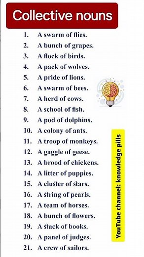 Collective Nouns in English | Learn with Examples | Grammar for Beginners