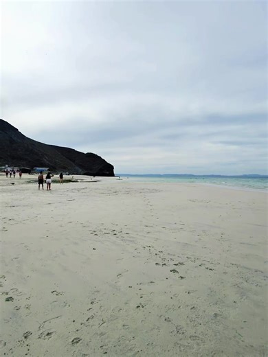 #beachliving #beachlife #livinginmexico #lifeinmexico #pitbullsoftiktok