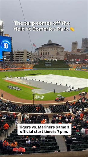 4.1K views · 985 reactions | Fans are happy. | Detroit News | Facebook