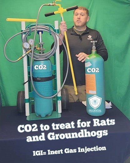 Using CO2 to treat for rodents, rats, groundhogs, and moles/voles #CO2 #pestcontrol #groundhogs