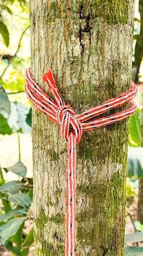 This Knot Never Slips — Here's How