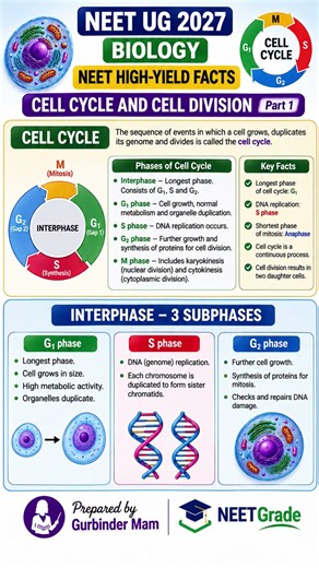 Cell Cycle and Cell Division -1 Biology 11 NCERT NEET Ug 2027