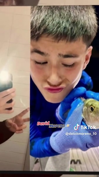 Miss Being a Roger Fan: A Heartfelt Tribute