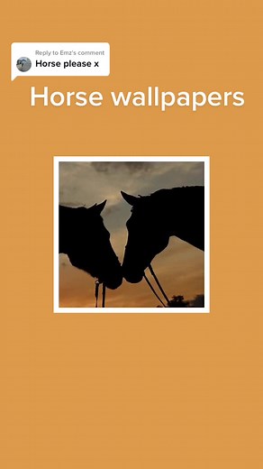 Horse and Pony Wallpapers for Equestrian Enthusiasts