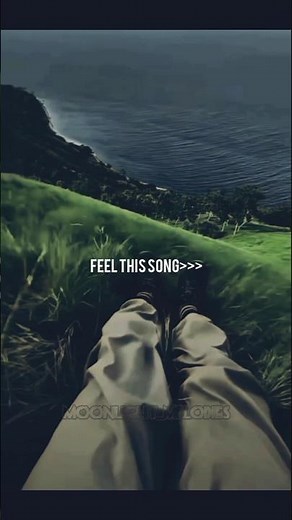 SUZUME🌸🥀 -by Radwimps-(ft.Toaka)✨ #lyrics #moonlight_melodies