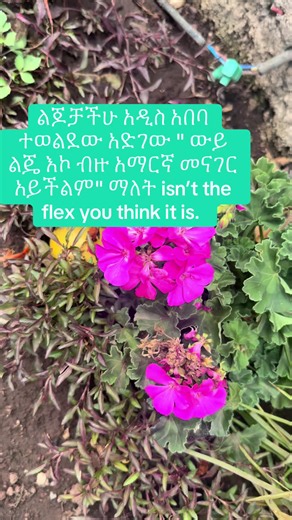 Addis Ababa Adere Sheger meaning and parenting reaction explained