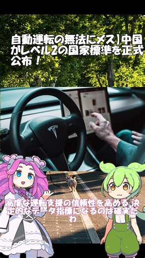 【自動運転の無法にメス】中国がレベル2の国家標準を正式公布！ #ずんだもん #ev #自動車 #中国 #国家基準 #自動運転 #fsd