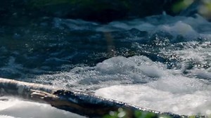 303K views · 1.5K reactions | Dan Russell & Gordon Ramsay goes hunting for Mountain Goats. Follow chef Gordon Ramsay as he journeys to some of the most incredible and remote locations on Earth in search of culinary inspiration, epic adventures, and cultural experiences he will never forget. #GordonRamsay #GordonRamsayUncharted #Unchated #NationalGeographic #Food #Cooking | Gordon Ramsay: Uncharted | Facebook