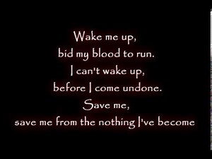 Evanescence Amy Lee Wake me up Inside Lyrics