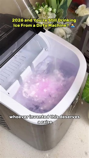 Icemaker Cleaning: How to Clean a Moldy Ice Machine