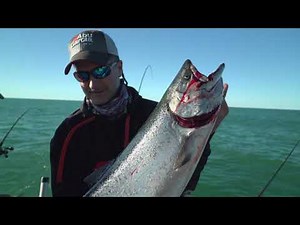 Salmon Fishing in Algoma WI