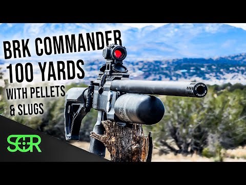 Testing NEW AEA .25 cal Pellets in BRK COMMANDER XR