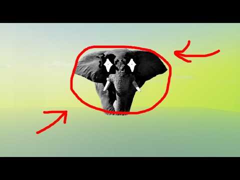 Cube merging simulator... but there is an elephant to adress