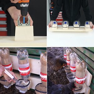 53K views · 188 reactions | Very Easy DIY Chicken Feeders | MetDaan DIY | Facebook