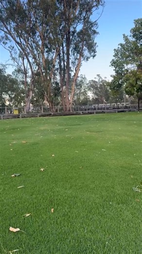The Koondrook and Barham Bridge Newspaper on Reels