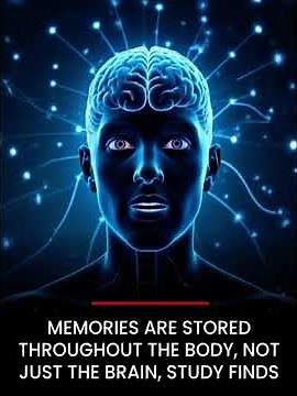 Memories Store in the Body|#CellularMemory #ScienceExplained #BodyIntelligence #Neuroscience