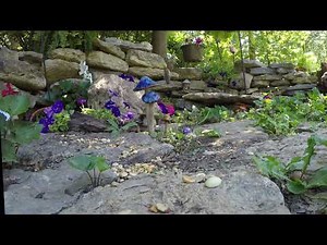 Ad free - 4K Cat Entertainment TV for Cats to Watch Videos of Birds, Chipmunks, and Squirrels