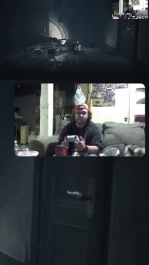 we interrupt this program to bring you #funnystreammoments #funnyanimals #dogs #streamer