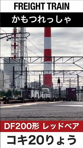 【ジョイント音】JR苫小牧駅を通過する貨物列車【電車が大好きな子供向け】Japanese Trains for Kids - Freight Train 9