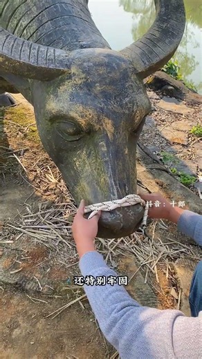 Master the Perfect Knot: Tie Pig Feet Tightly TyingSkills DIY