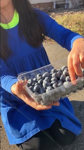 What makes #blueberries blue?