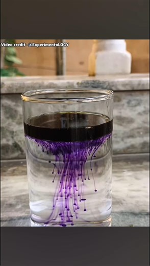 Amazing Science Experiment #shorts