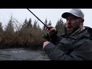 P Line SS Fluorocarbon Leader