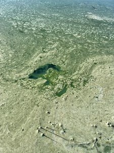 OHA issues warning for cyanotoxins in a Klamath County lake - KOBI-TV NBC5 / KOTI-TV NBC2