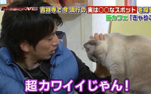 【WS字幕组】Mission V6 SP合集