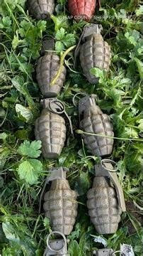 Grenades, other explosives found during Olalla home renovation