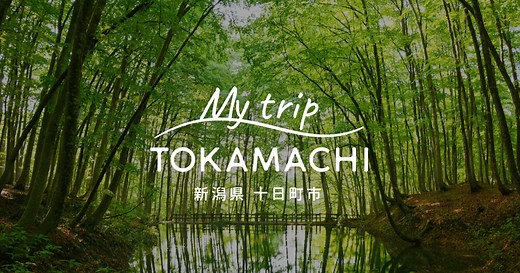 宝泉寺二千年蓮 | 十日町市観光協会