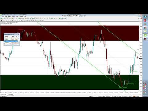 How to use the belly MT4 System on your PC