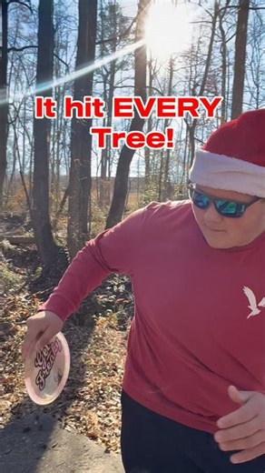 It somehow hit EVERY TREE