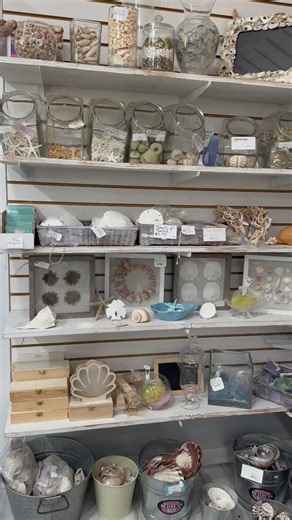✨ Shell Crafting dreams start here! ✨ Our wall of crafting shells and coastal goodies is full of inspiration just waiting to be turned into something beautiful. From shells and starfish to unique accents and natural textures, there’s no limit to what you can create. Let’s see what new projects and seaside creations you dream up in the new year! 🌊🐚 Stop in and get inspired! Shore Goods 599 South Collier Blvd Suite 315 Marco Island, FL 34145 239-394-7020 https://shoregoods.square.site #ShoreGood
